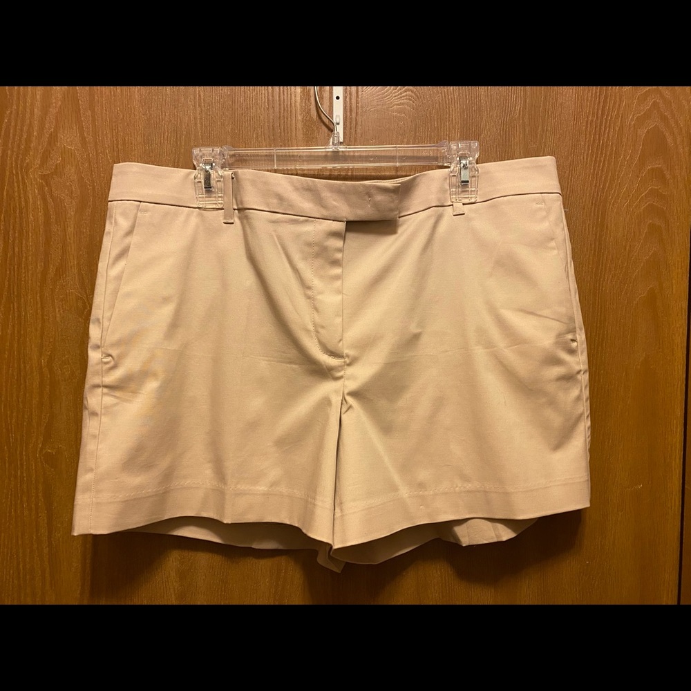Ann Taylor TAN Devin City Short